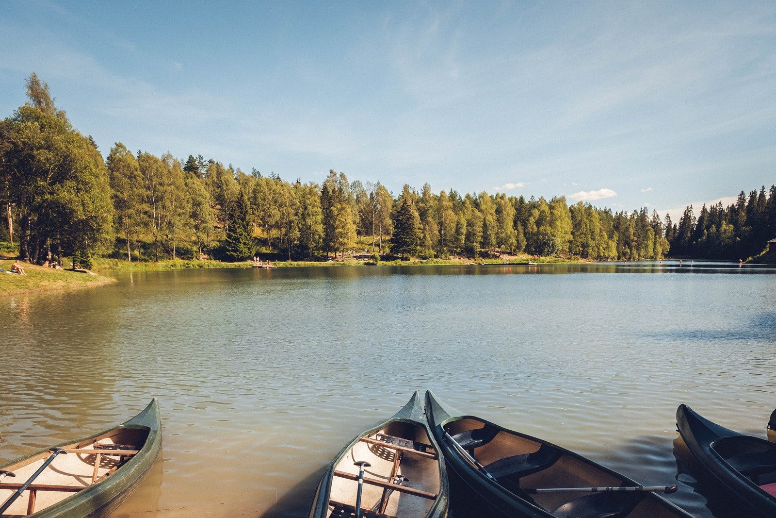 Trollvann Galleribilde