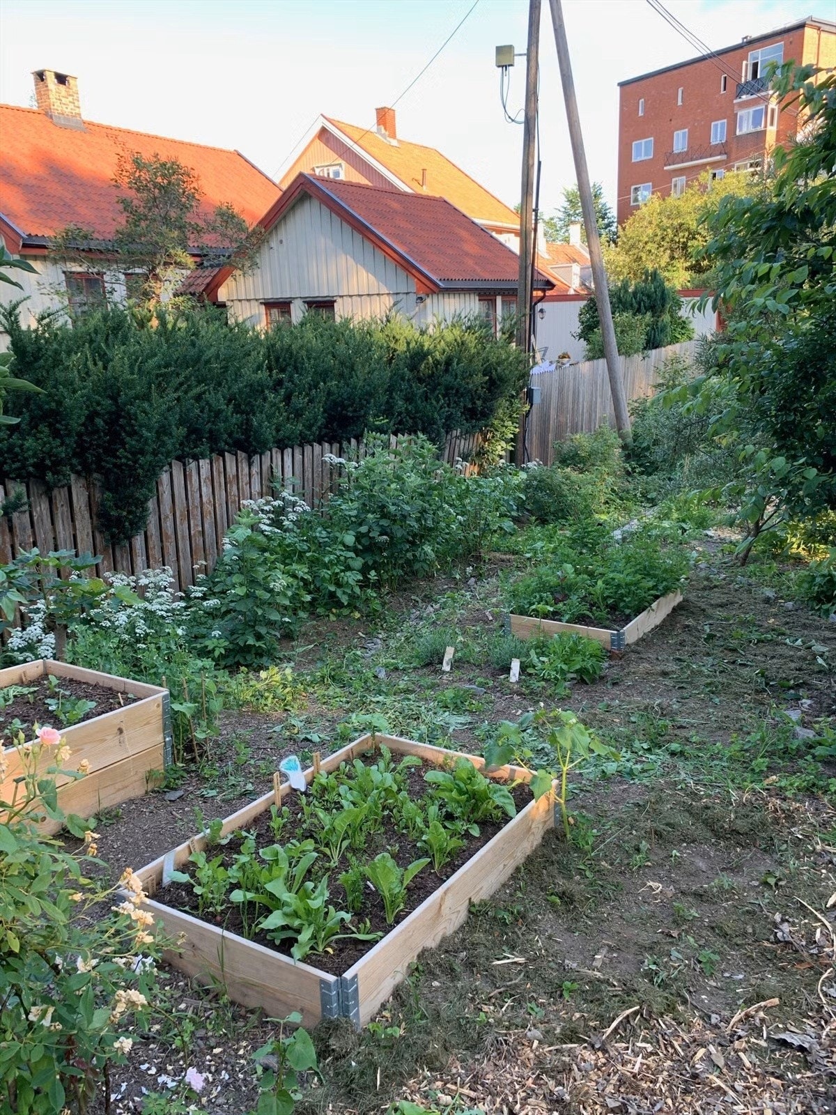 Her finner du flere spiselige vekster, som blant annet eple, pærer og plommer. Galleribilde