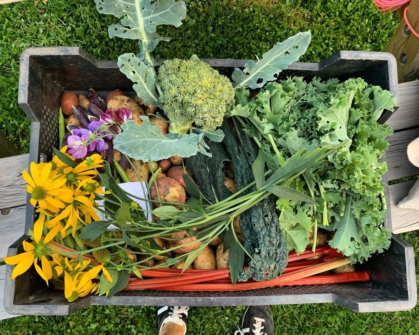 Det er også mulighet for å dyrke egne grønnsaker og urter hvis ønskelig. Galleribilde