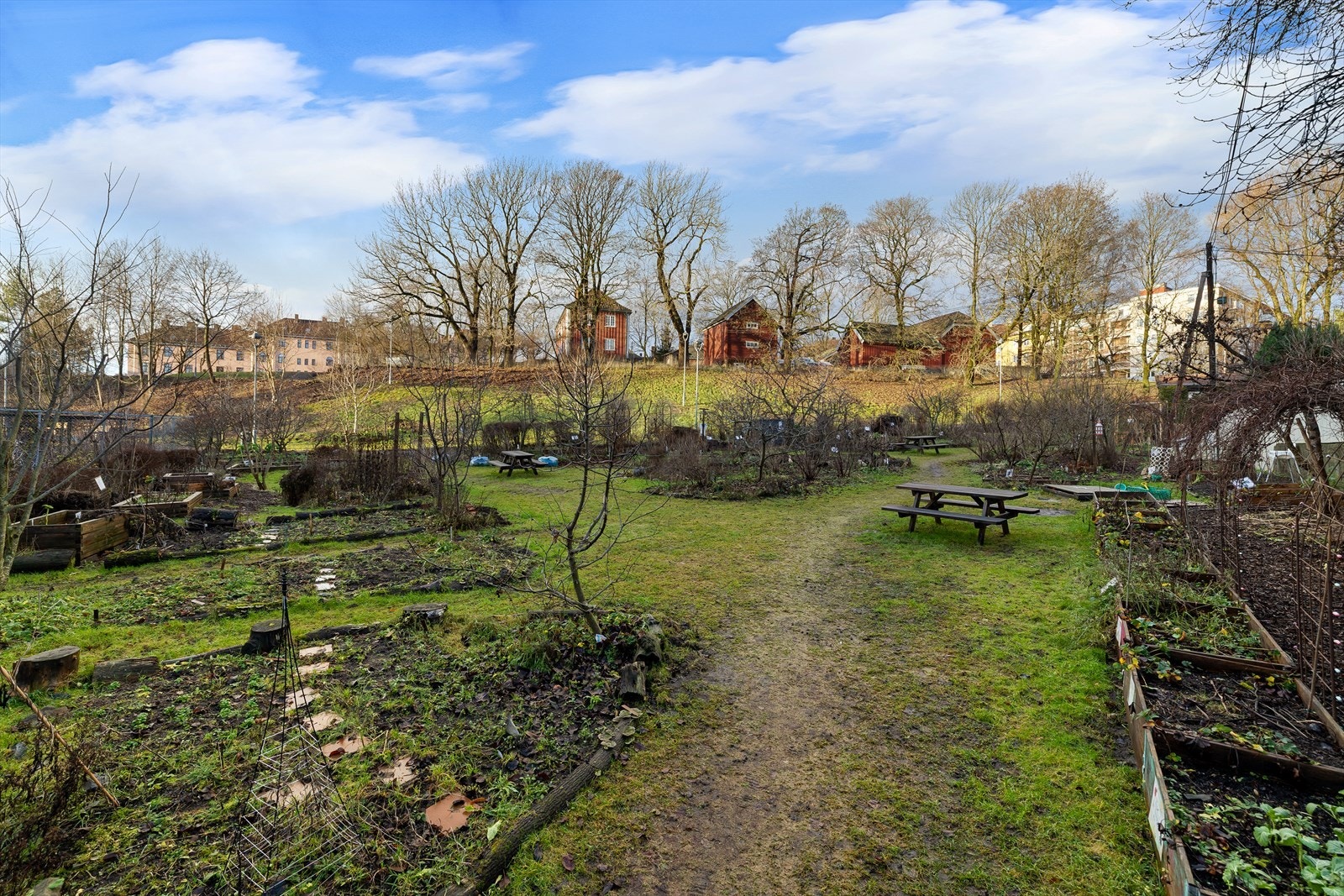 Flott felles hage for beboerne. Her er det flere bord med muligheter for å slå seg ned, og grill til glede for beboerne. Galleribilde