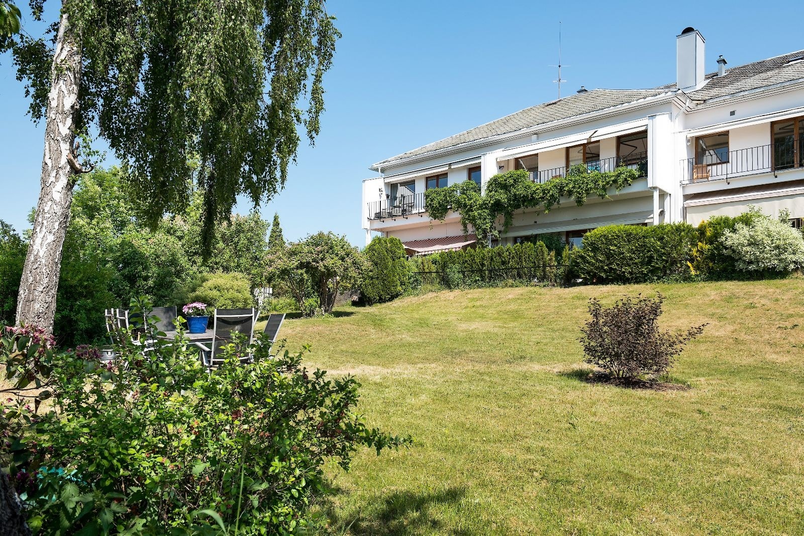 Stor, felles hage Galleribilde