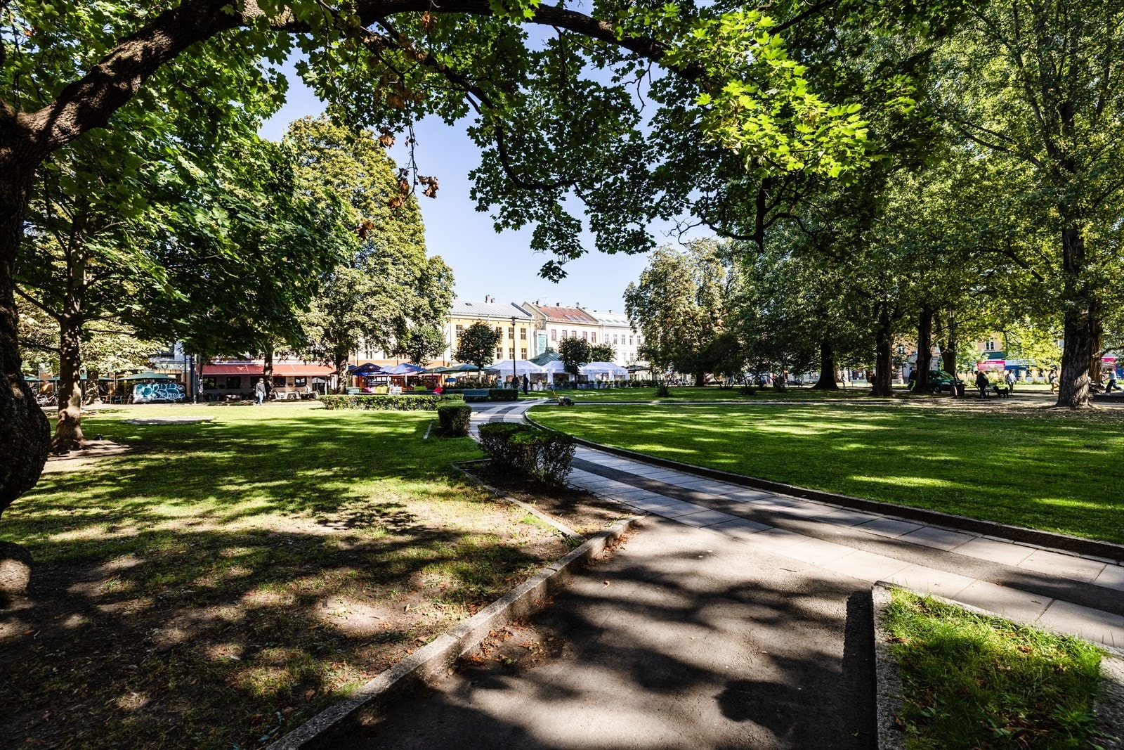Olaf Ryes plass i sommerdrakt - en grønn lunge omkranset av hyggelige restauranter og hyggelige uteserveringer på sommerstid Galleribilde