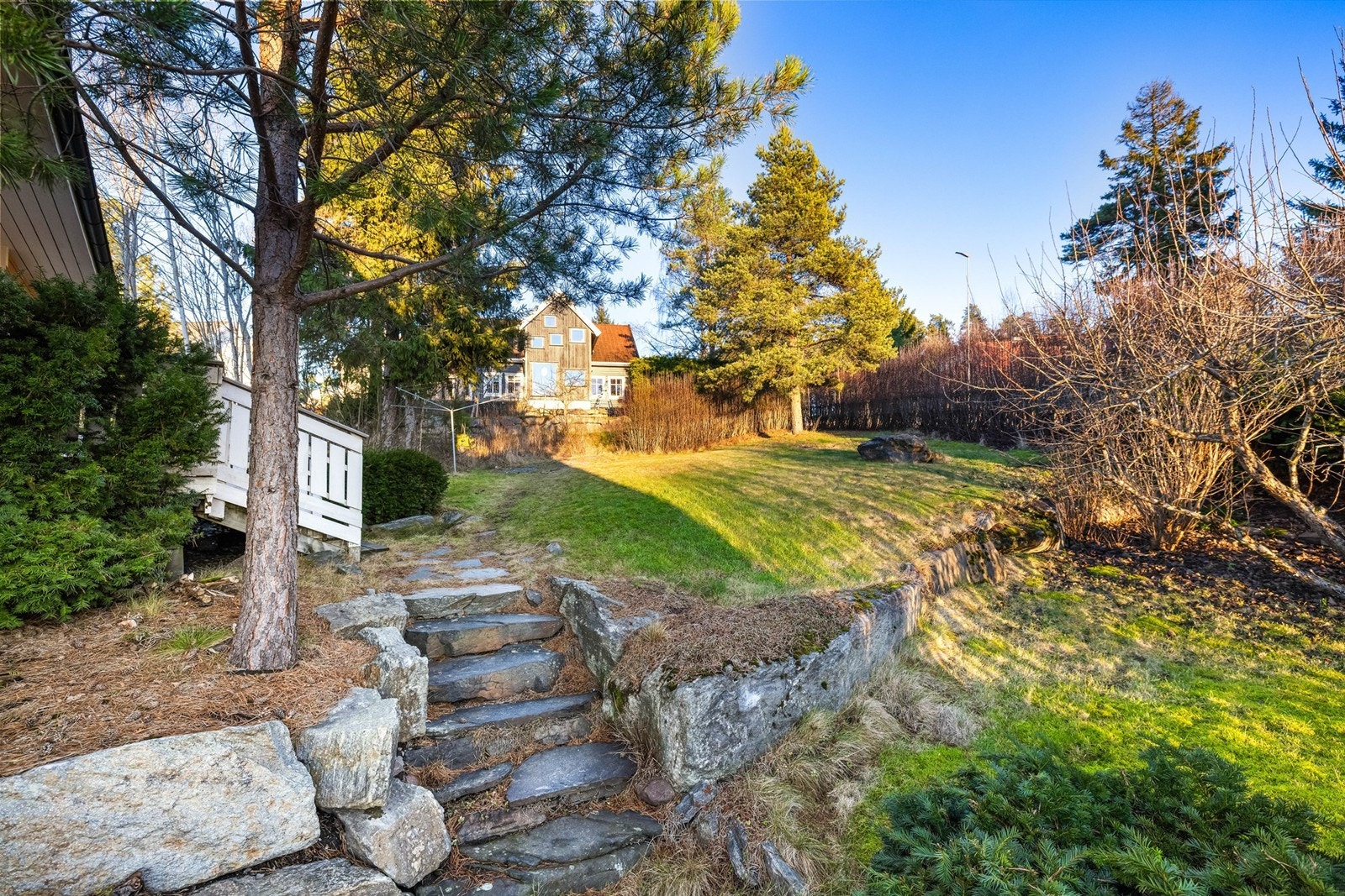 Flott opparbeidet tomt med plen, hekk, busker og trær. Galleribilde