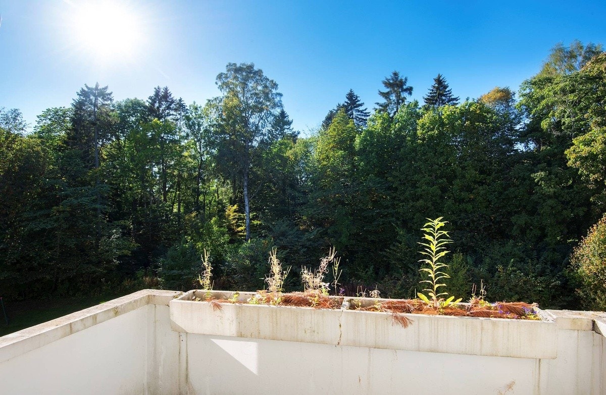 Vestvendt balkong med ettermiddagssol Galleribilde