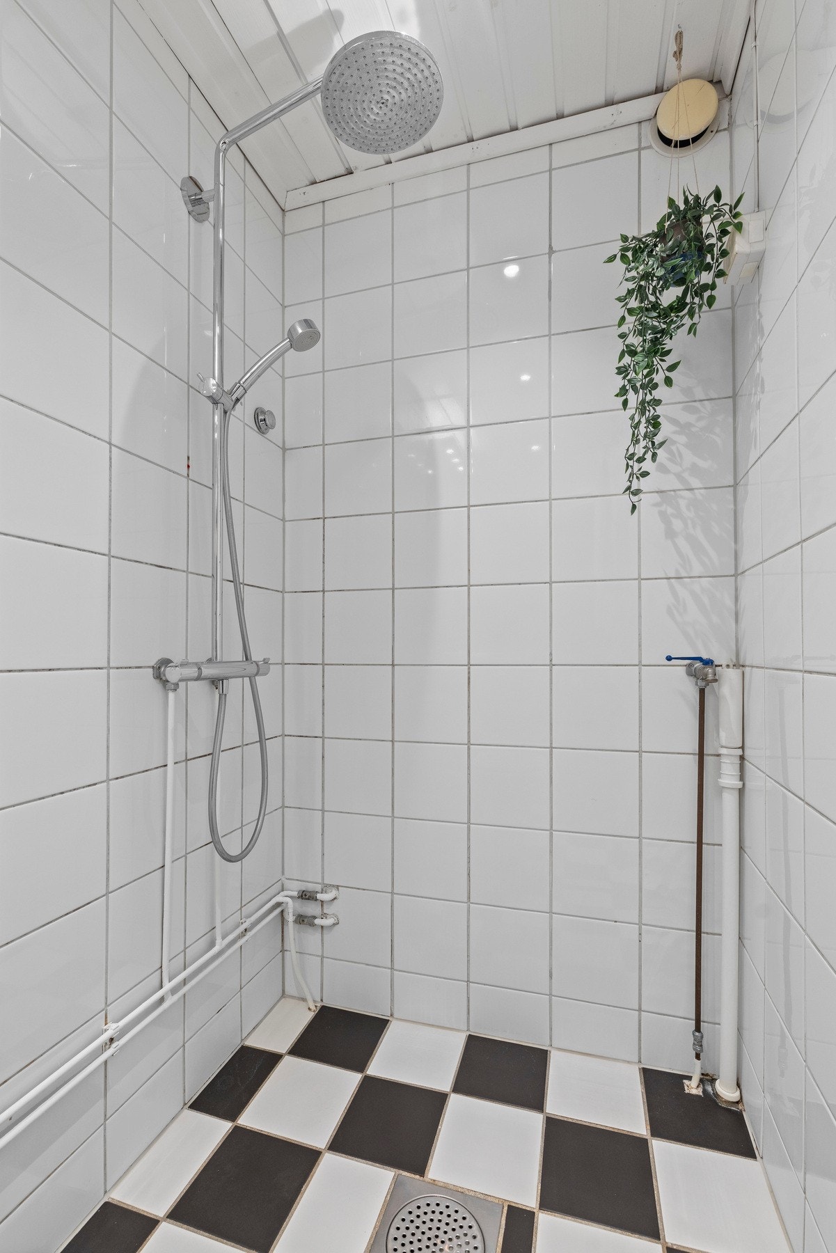 Stor åpen dusjsone. Galleribilde