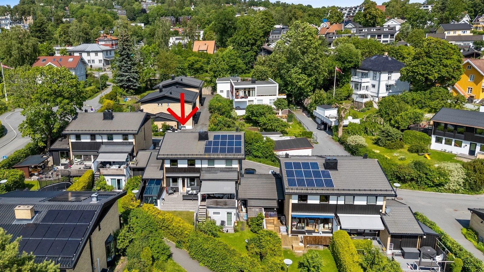 Grønne omgivelser Galleribilde