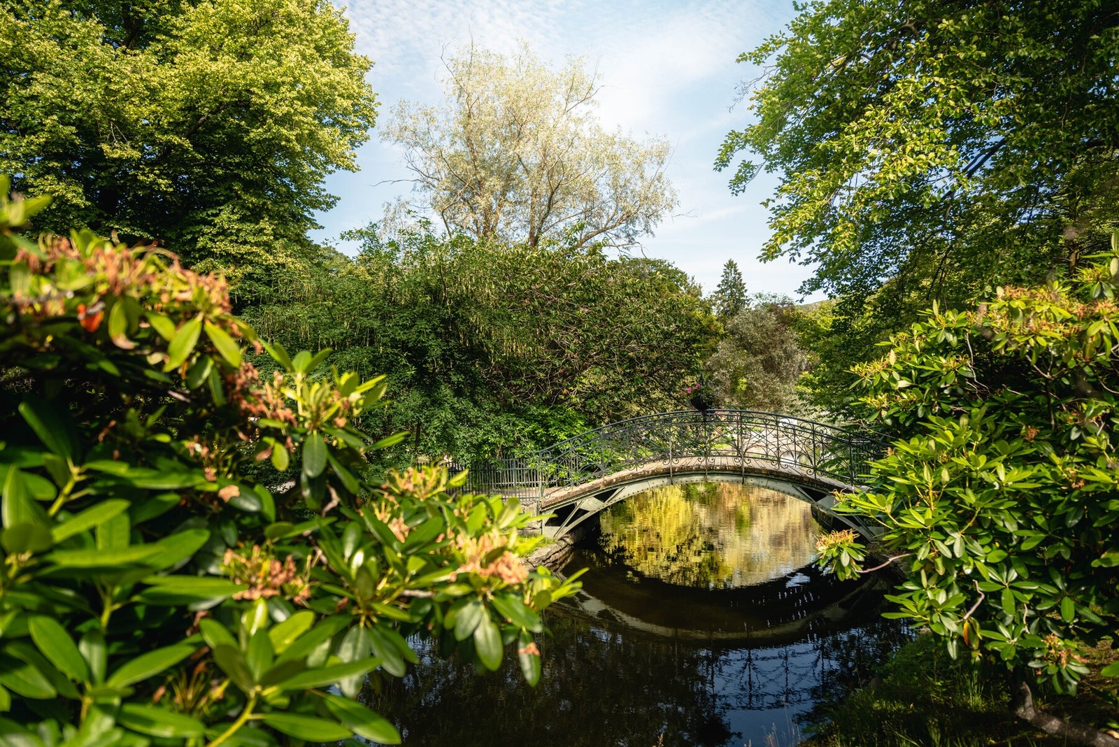 Muséhagen og Nygårdsparken passer perfekt for deg som vil ta en rolig spasertur eller nyte en deilig dag ute i frodige omgivelser! Galleribilde