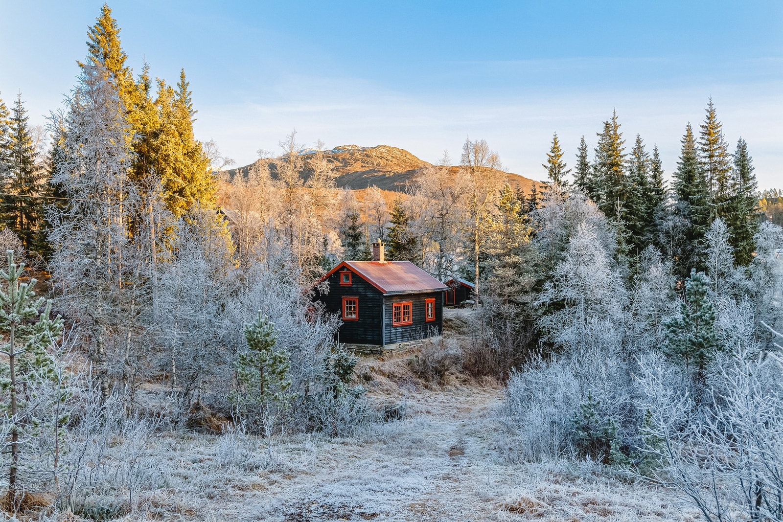 En flott hytte med attraktiv beliggenhet i Furedalen på Kvamskogen. Galleribilde