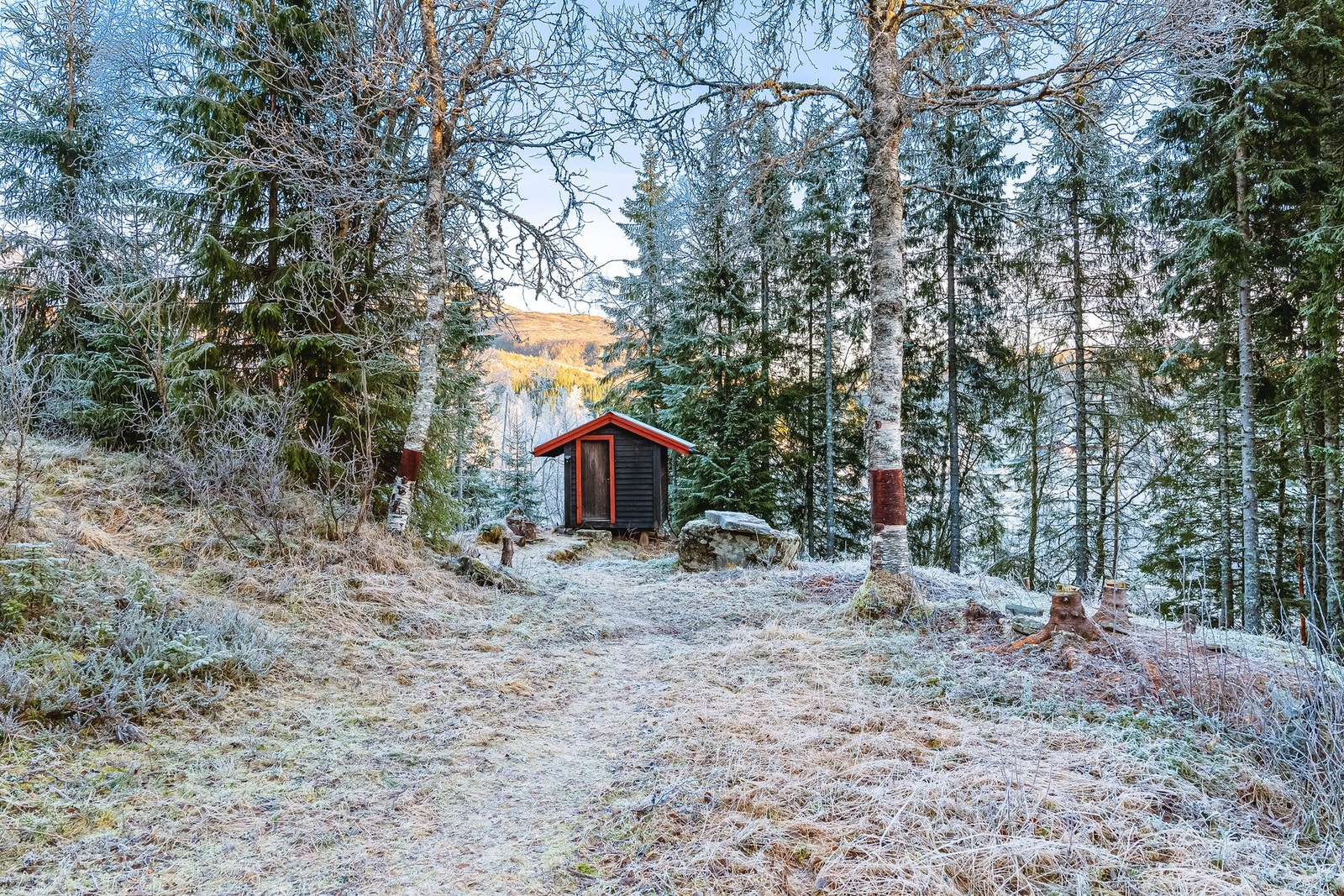 Kvamskogen er kjent for sine mange og varierte turmuligheter, både sommer og vinter. Galleribilde