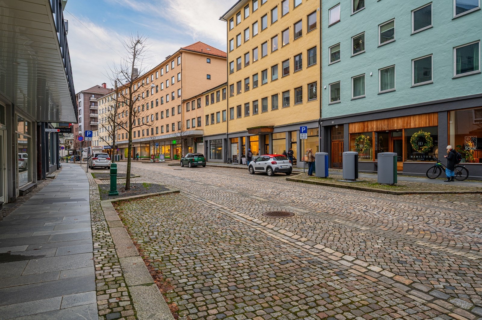 Kiwi som en av de nærmeste naboene. Svært praktisk i hverdagen! Galleribilde