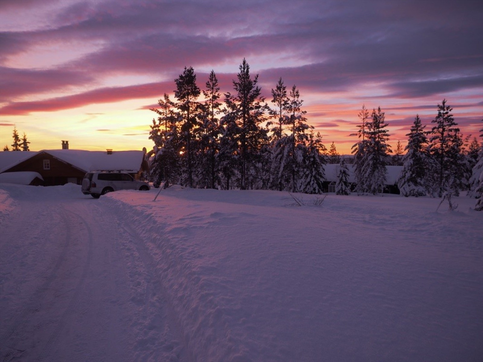 Private bilder Galleribilde