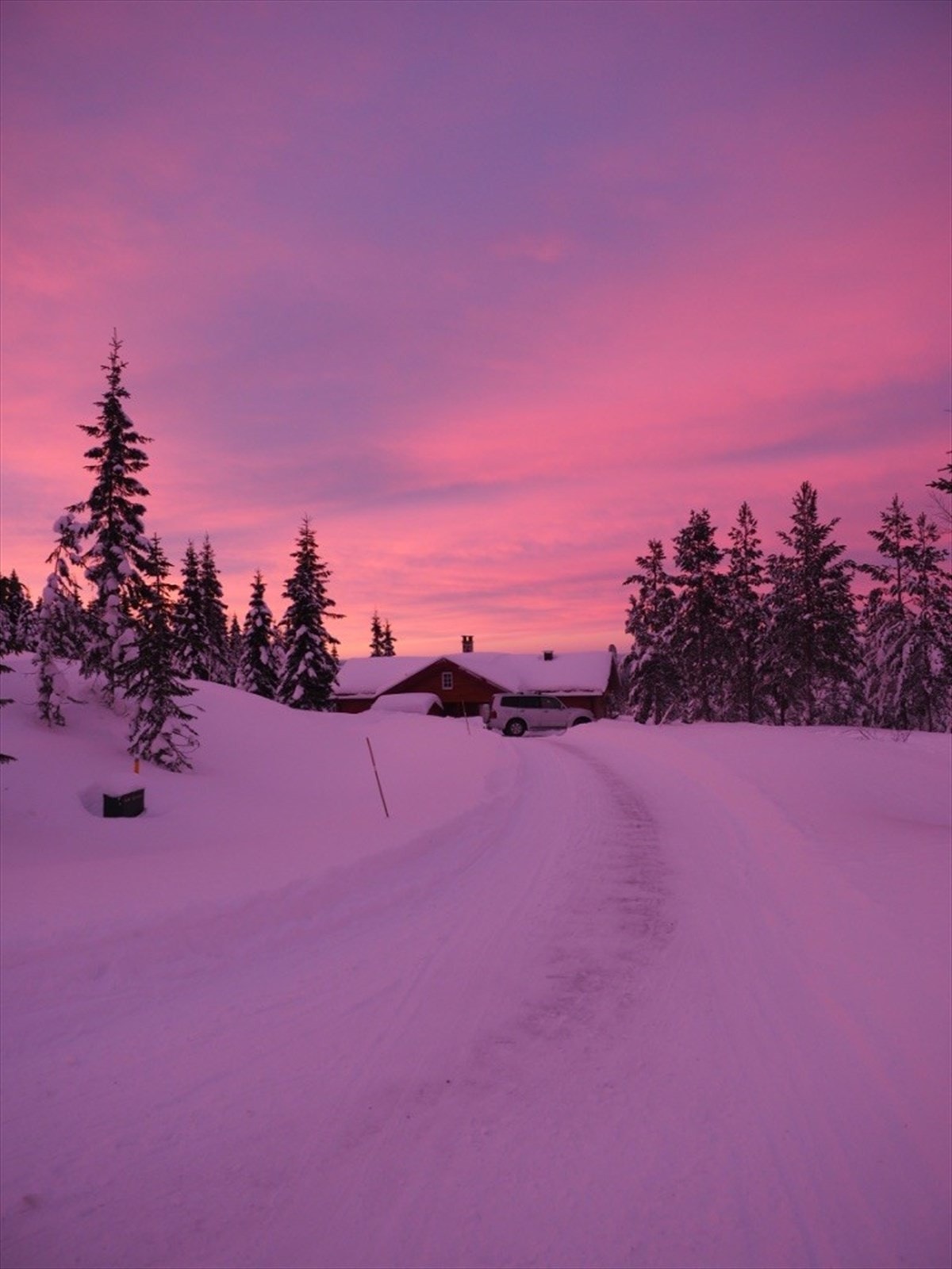 Private bilder Galleribilde