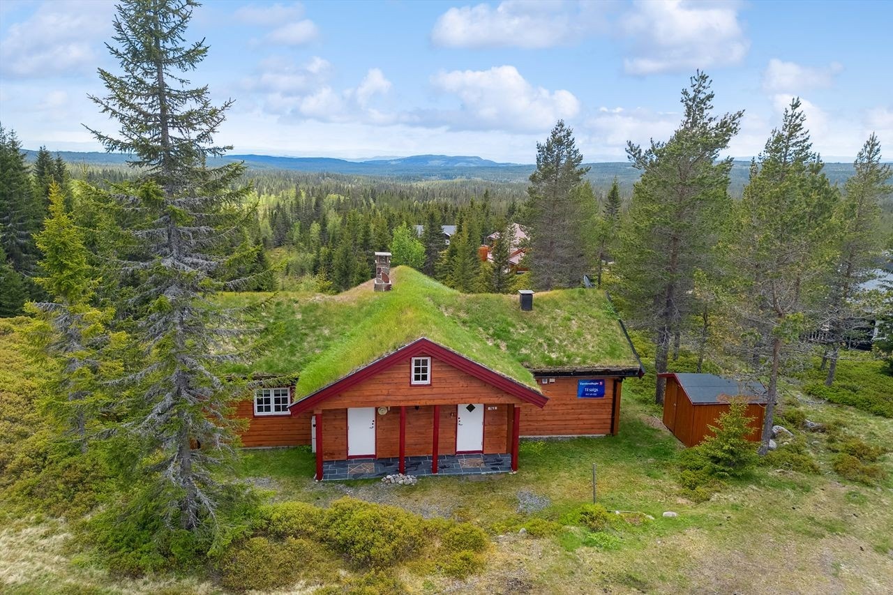 Hytta ligger fint i terrenget. Det er overbygget inngangsparti med hovedinngang og biinngang. Galleribilde