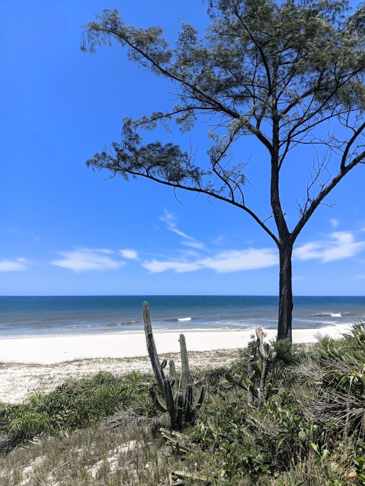 Nabolaget Galleribilde