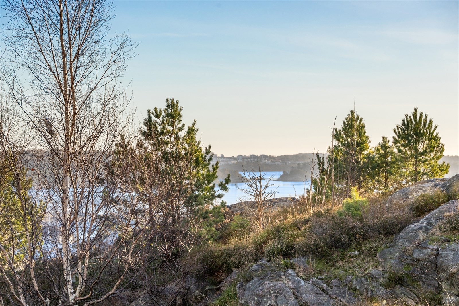 Utsitk mot sjøen Galleribilde