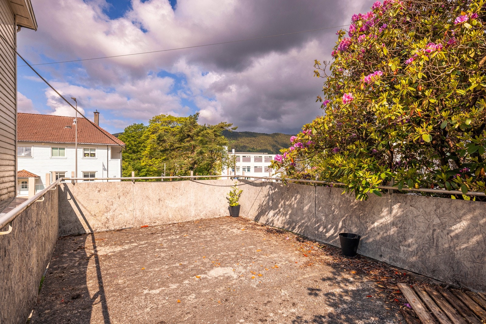 Taket på carport/garasjen. Galleribilde