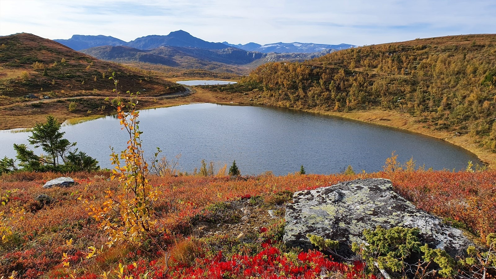 Selgers private bilde - 2021, Knauserunden, med utgangspunkt rett bak fritidsleiligheten, Bitihorn i bakgrunnen. Galleribilde