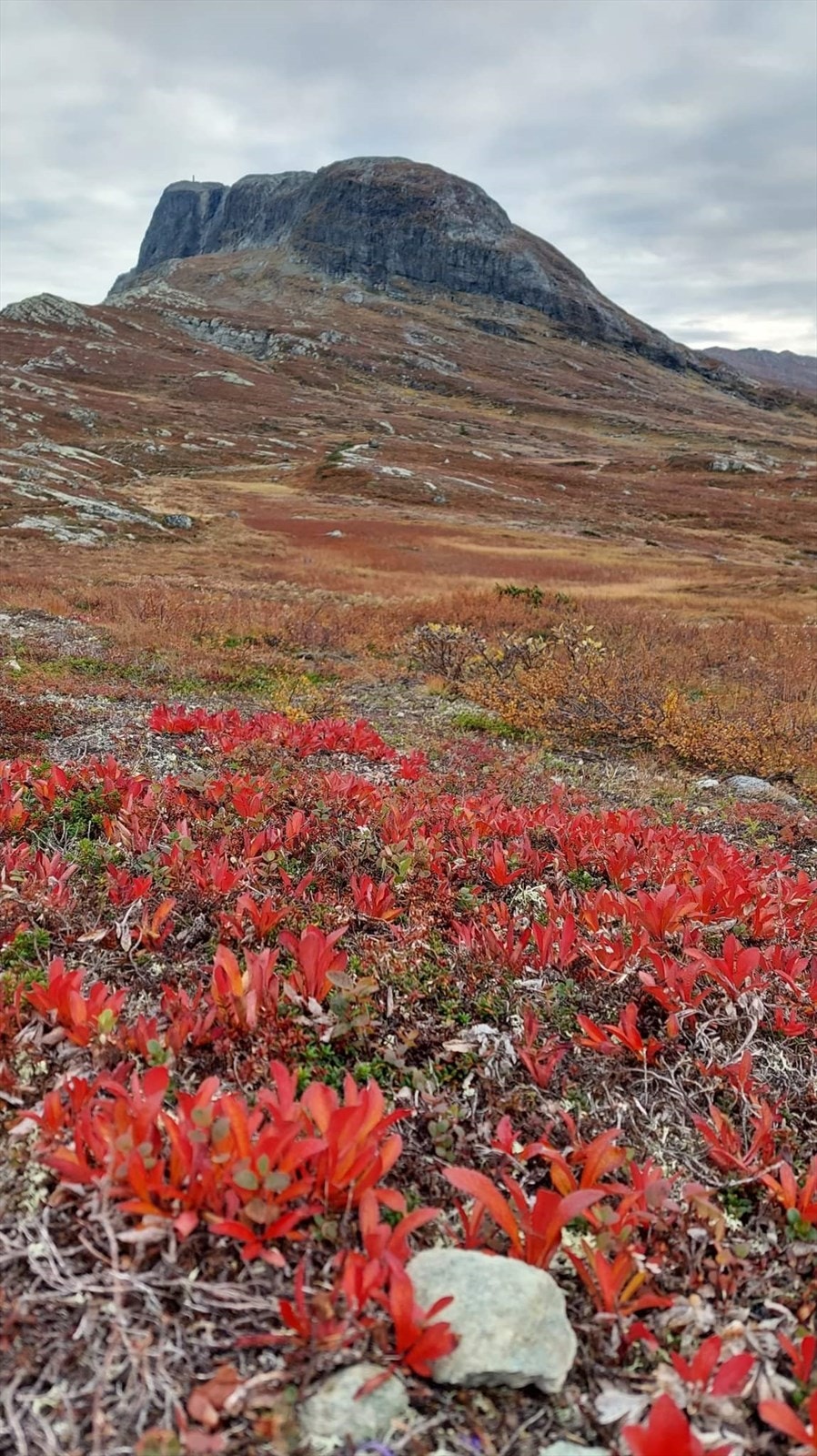 Selgers private bilde - 2022, på tur Knauserunden, med utg.pkt toppen av skiheisen rett bak fritidsleiligheten Galleribilde