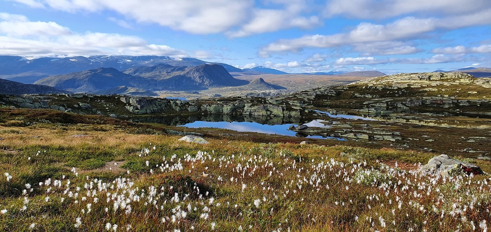 Selgers private bilde - turområde opp fra Båtskardstølane, som er ca 10 min kjøring fra fritidsleiligheten. Galleribilde