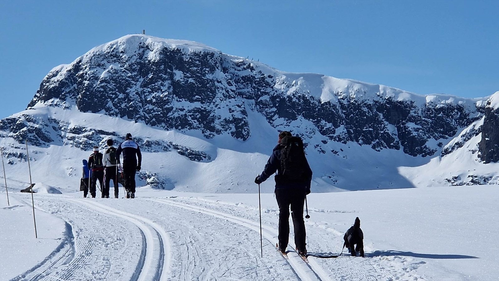 Selgers private bilde - 2023, skisporet med Bitihorn i bakgrunnen. Ca 30 min på ski fra fritidsleiligheten. Galleribilde