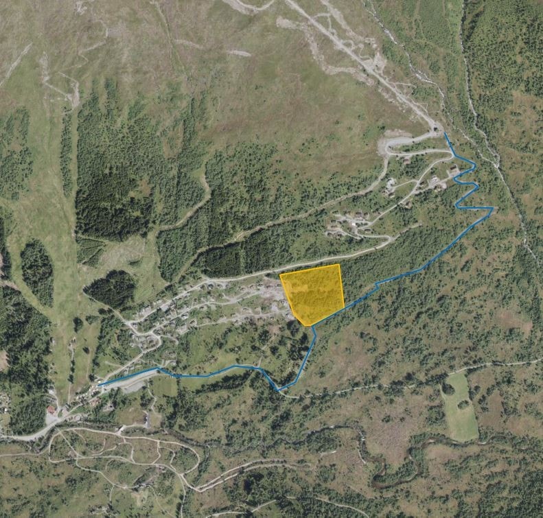 Tomtefeltet er plassert fint til med ski in-ut Galleribilde