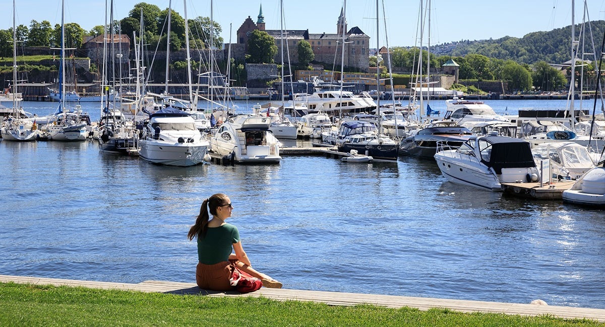 Nærhet til sjøen og Oslofjorden Galleribilde