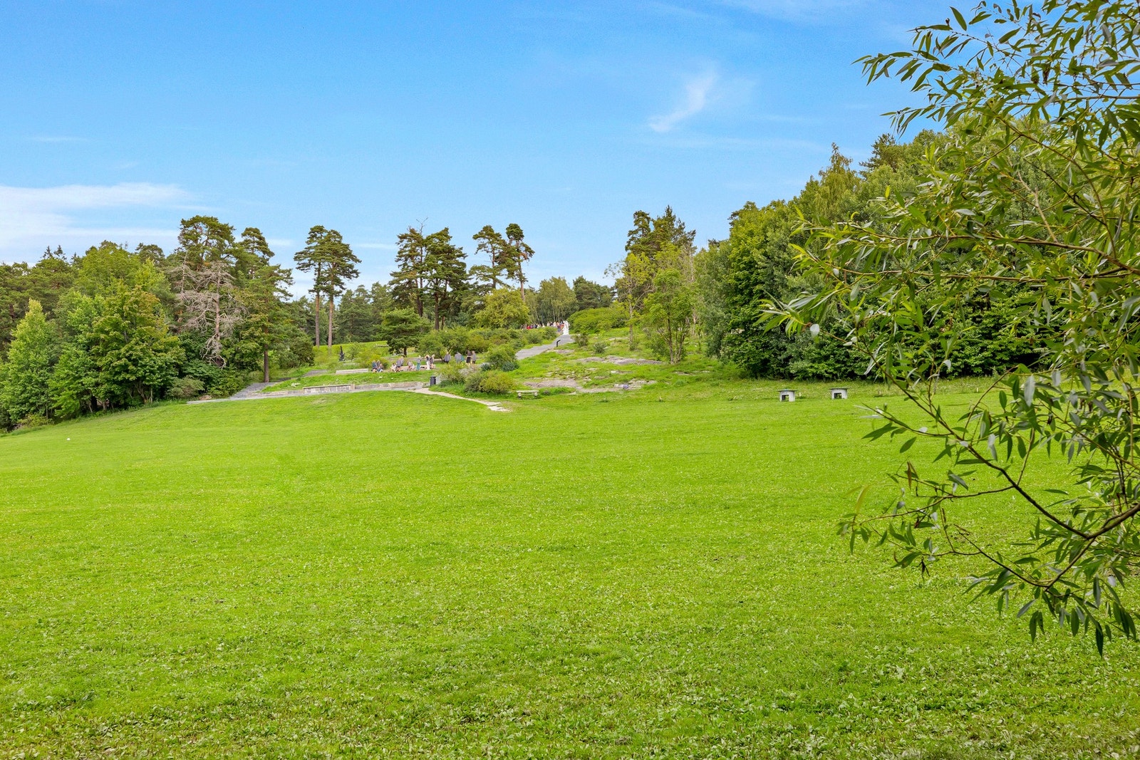 Ekebergparken - Store grøntområder og flotte turområder rett i nærheten, perfekt for rekreasjon året rundt. Galleribilde