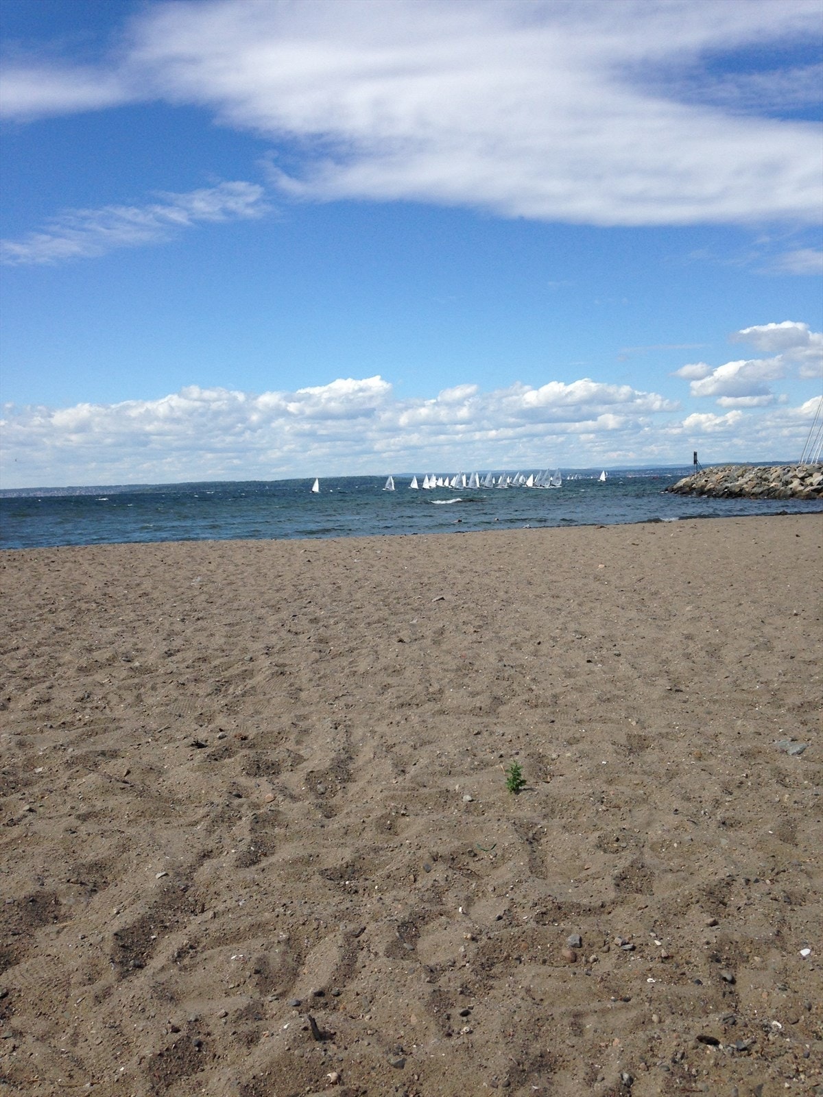 Ilastranda Galleribilde