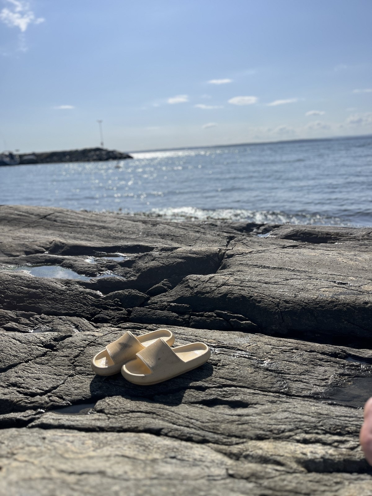 Ilastranda - Fuglevik Galleribilde