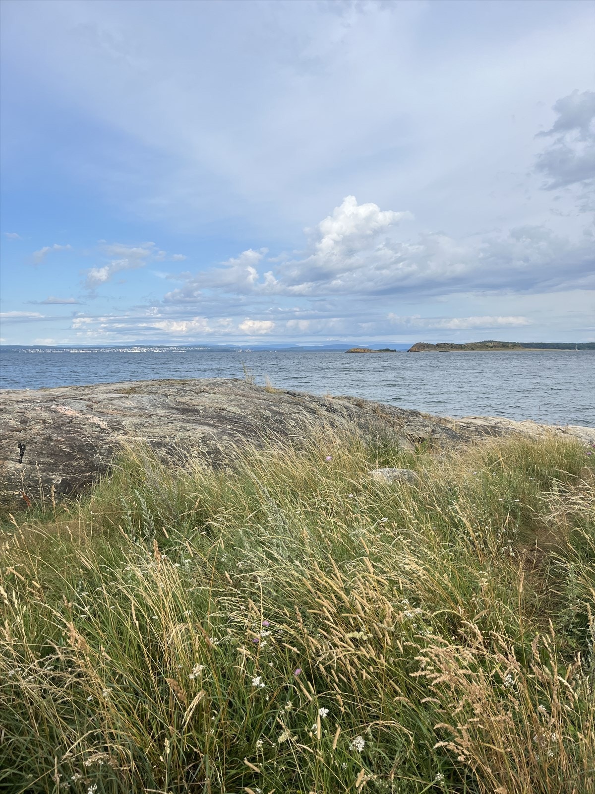 Nydelig ved alle årstider Galleribilde