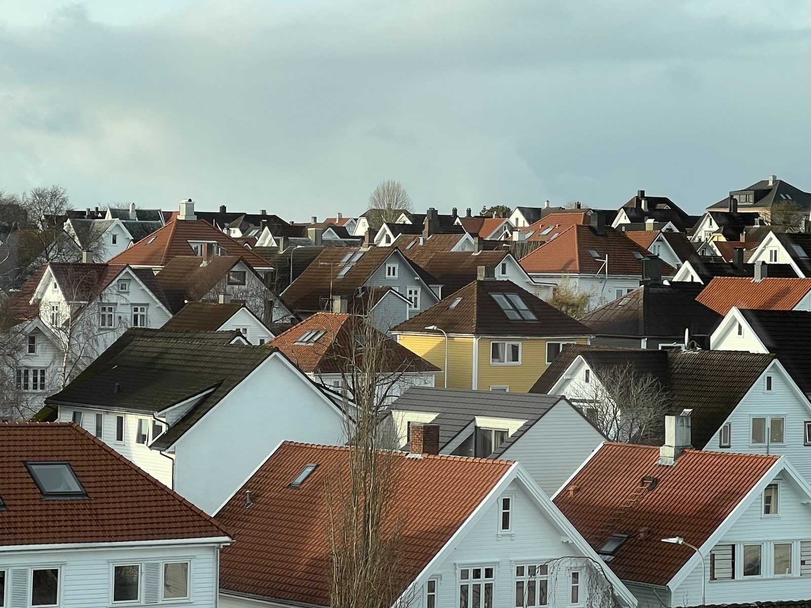 Utsikt fra spisestue Galleribilde