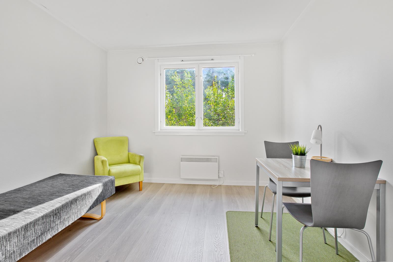 Hybelen holder en gjennomgående god standard og har mye lys Galleribilde