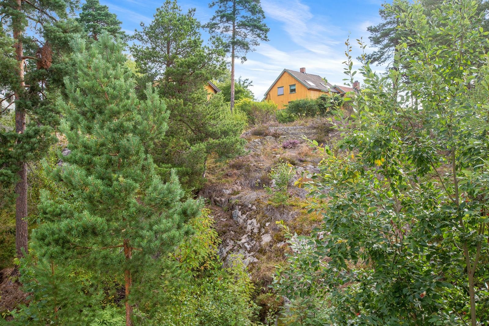 Utsyn fra stue. Galleribilde