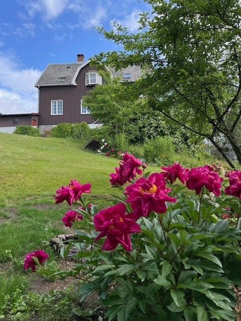 Villaen sett utenfra Galleribilde