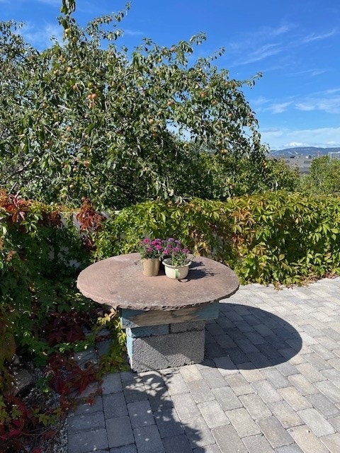 Uteplass med sol hele dagen. Fint sted for morgenkaffen til sommeren. Galleribilde