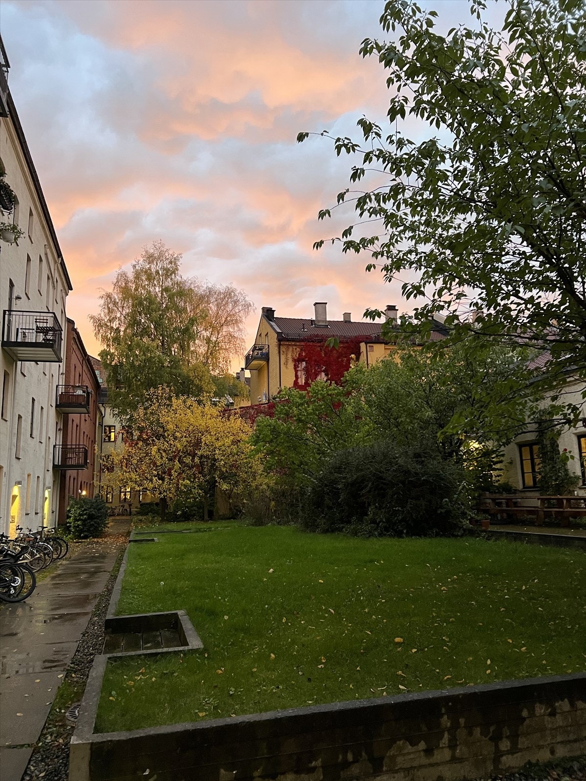 Bakgården er en rolig og tilbaketrukket uteplass midt i byen. Galleribilde