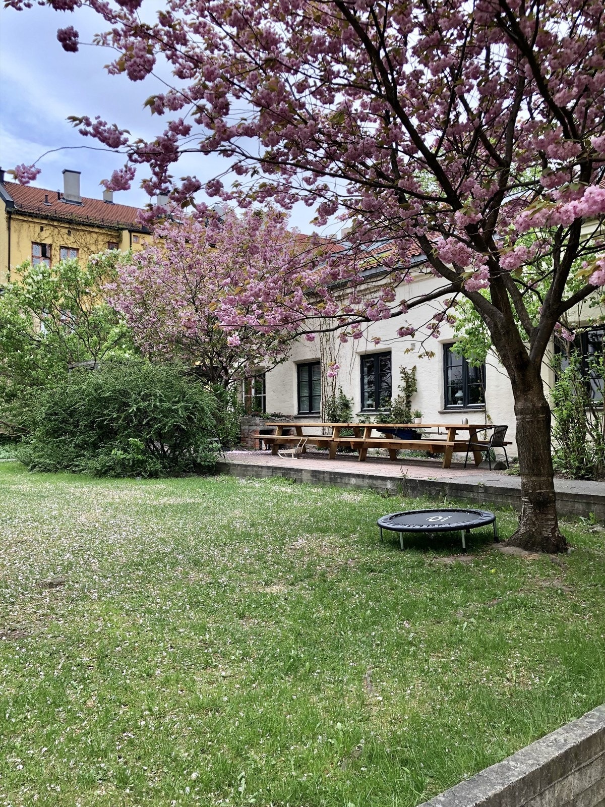 Et hyggelig fellesareal med grøntområder og trær. Galleribilde