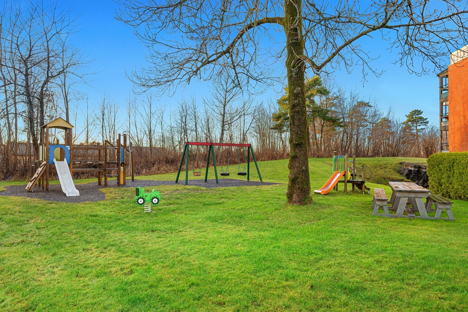 Lekeplass på borettslagets eiendom Galleribilde