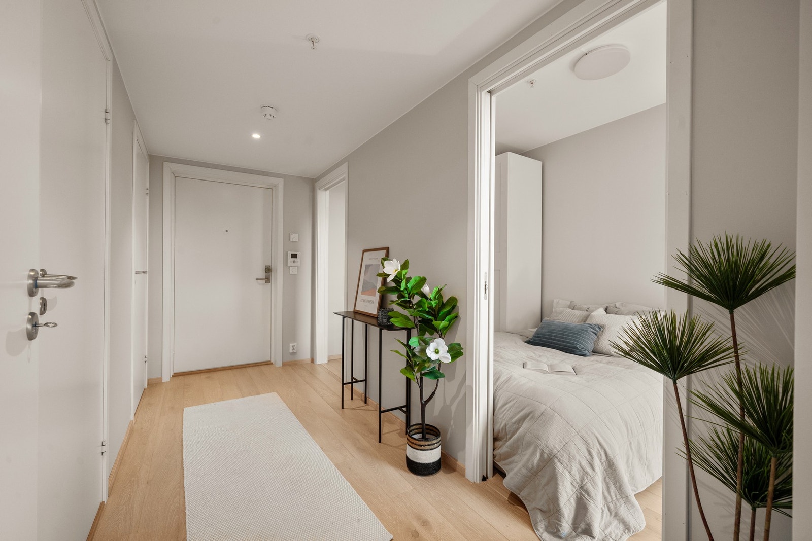 Velkommen til visning! Galleribilde