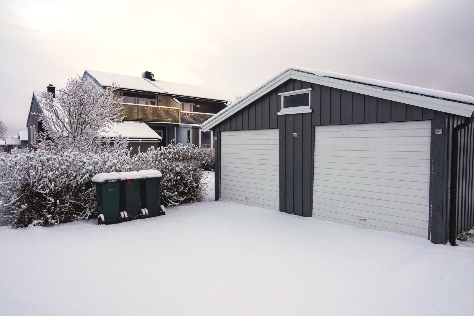 _DSC7066 Galleribilde