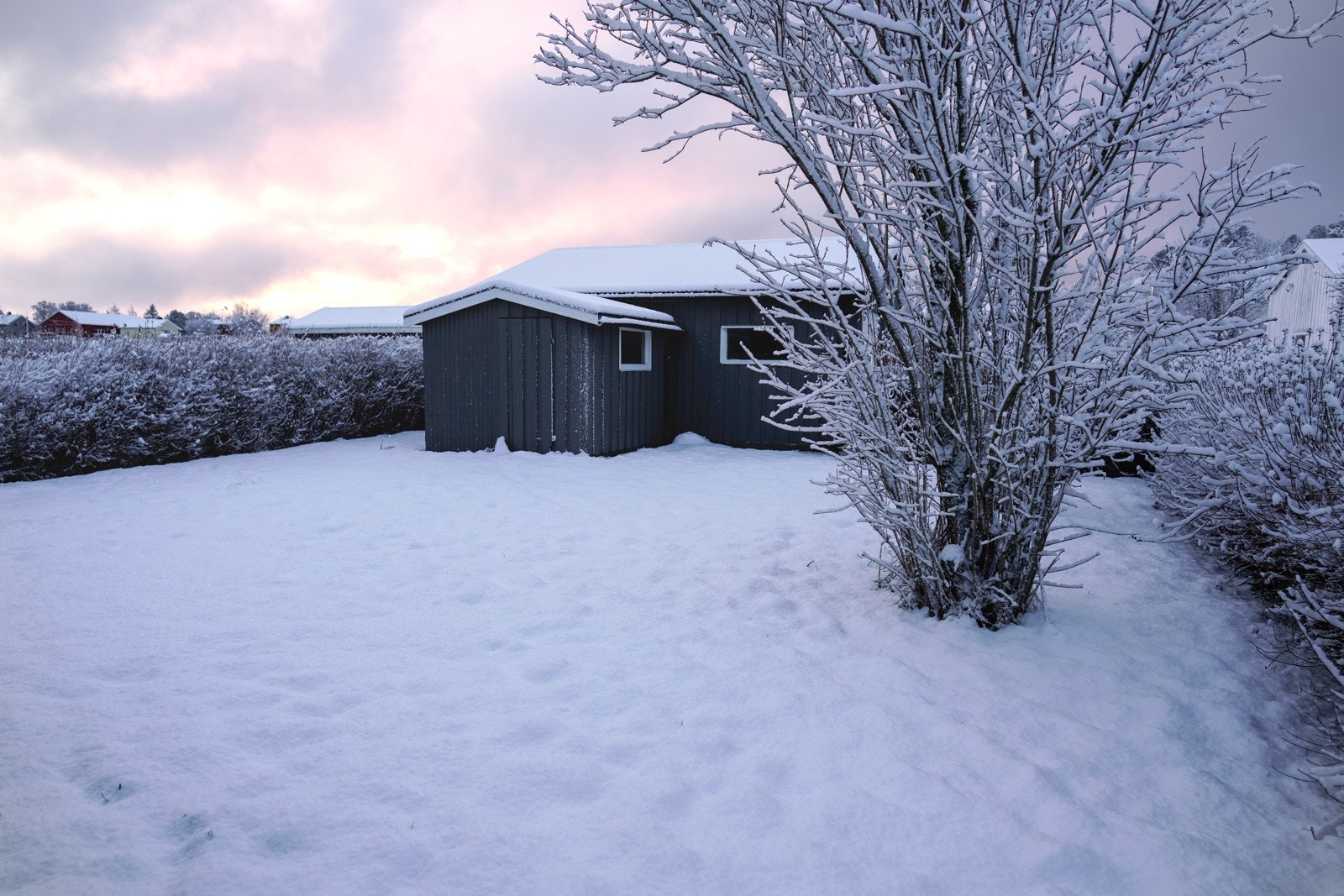 _DSC7073 Galleribilde