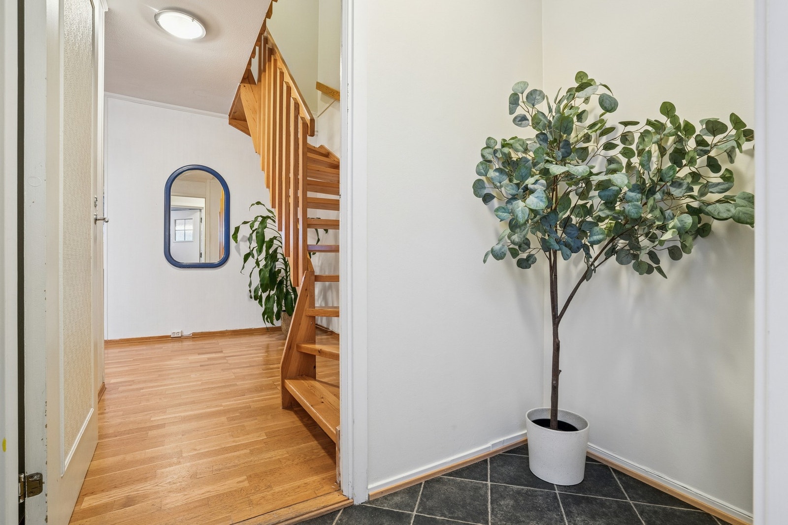 Yttergang er nylig helsparklet og malt i 2025 Galleribilde