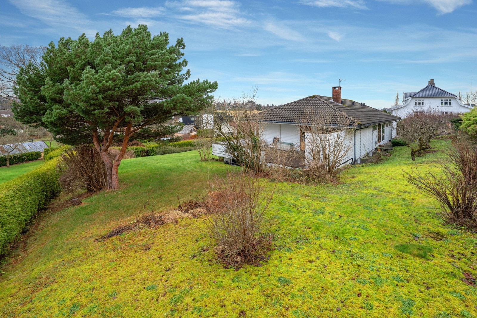 Hagen er pent opparbeidet ,ed planter, busker og trær Galleribilde