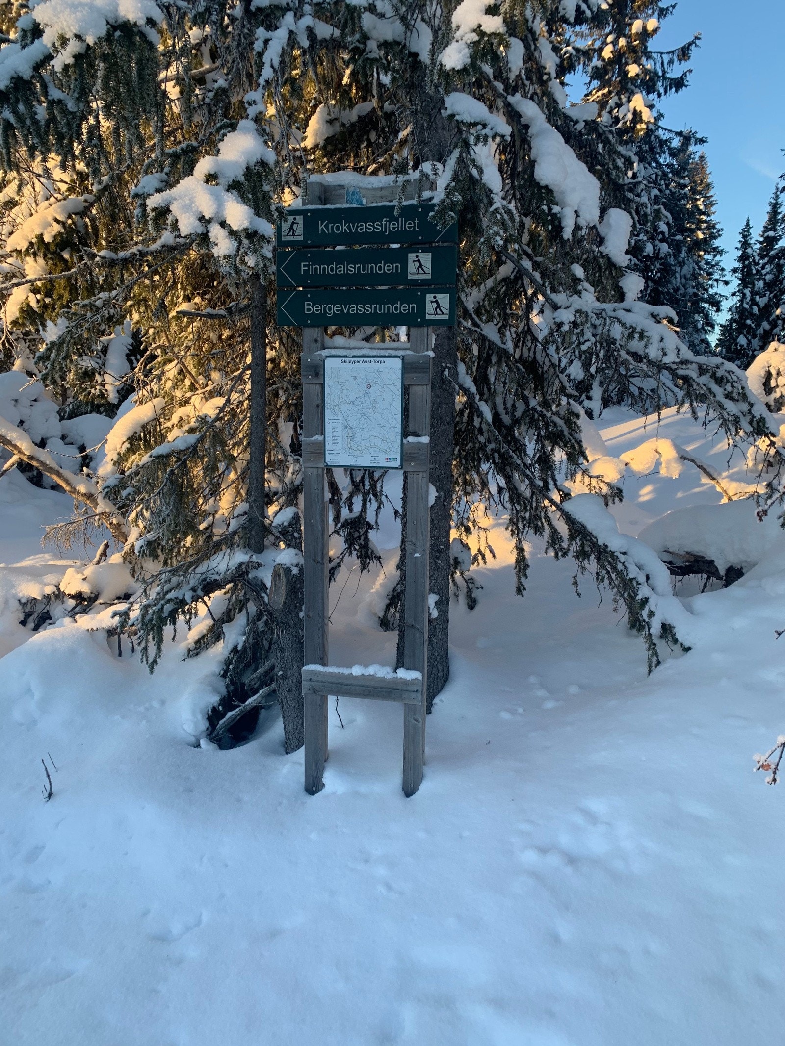 Milevis med løypenett! Galleribilde