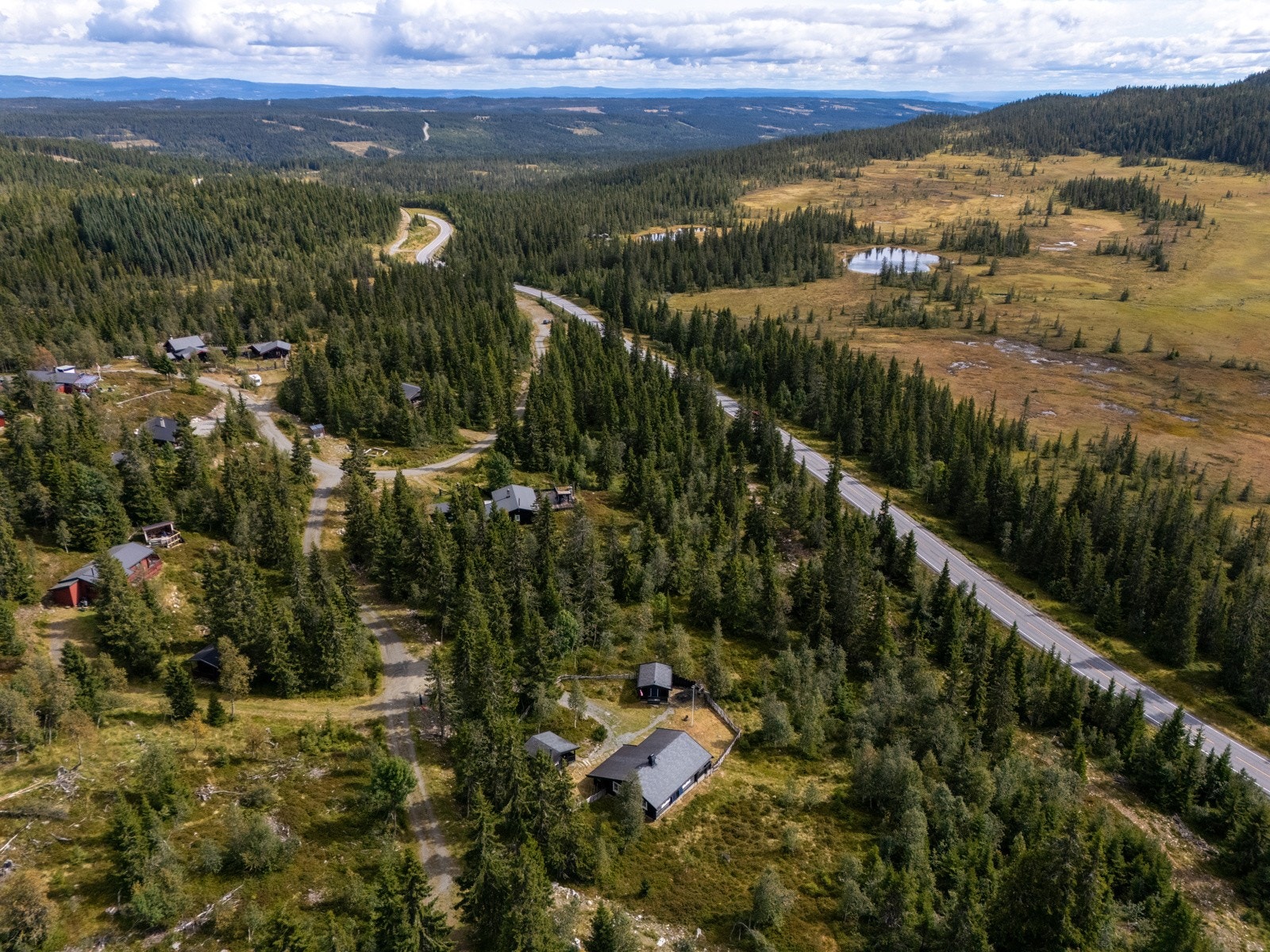 Velkommen til visning! Galleribilde