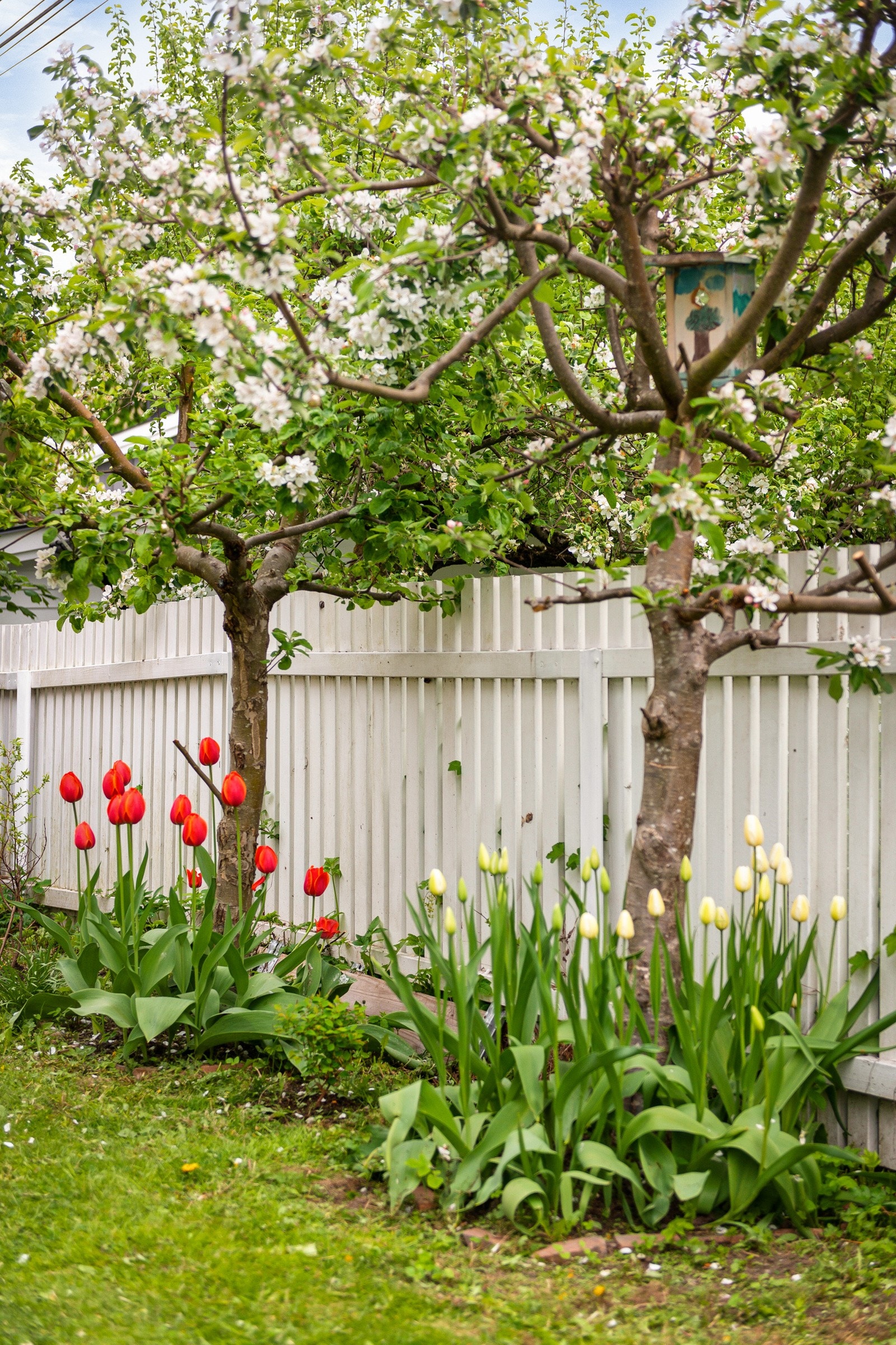 Uteområde Galleribilde