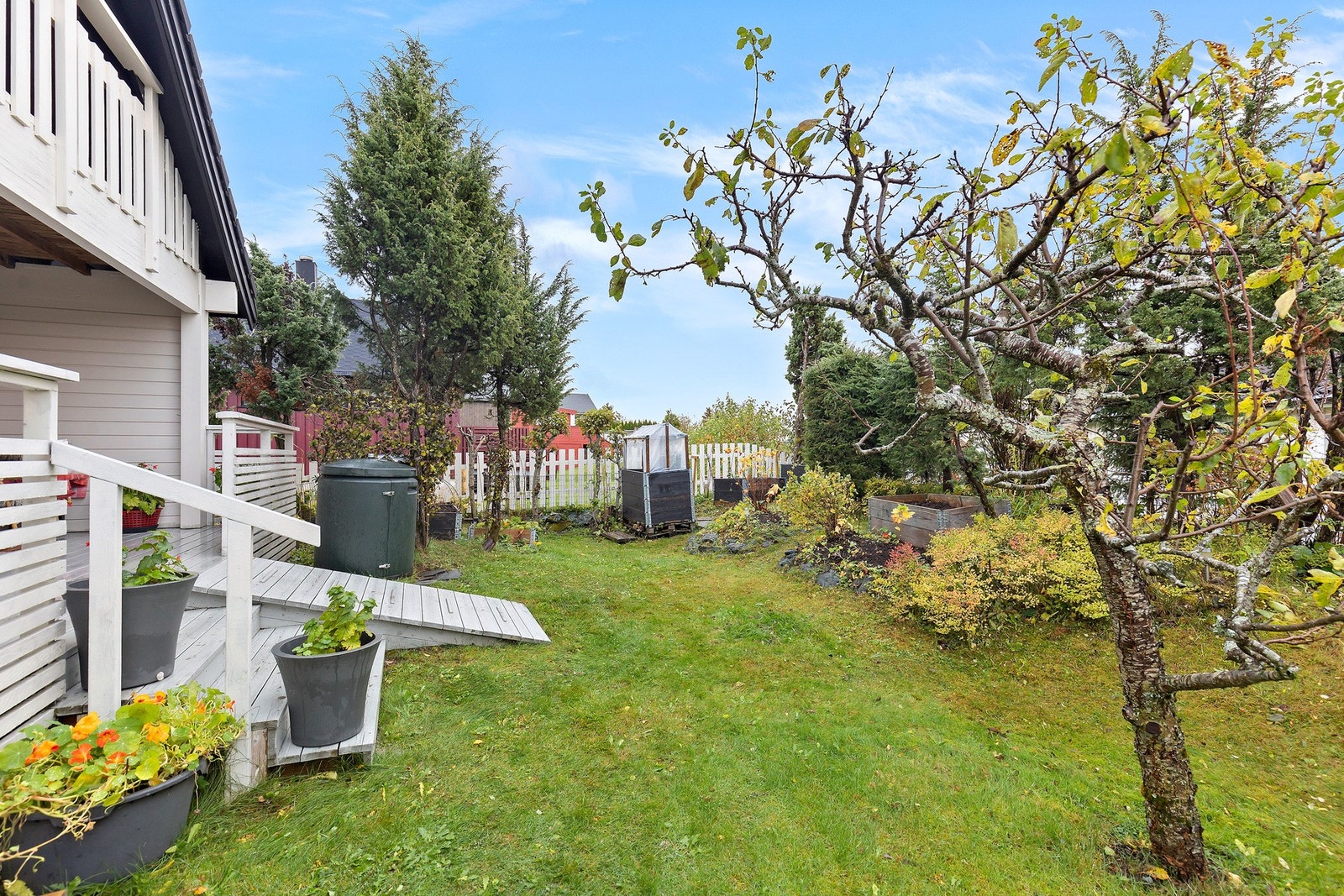 Omradebilde Galleribilde