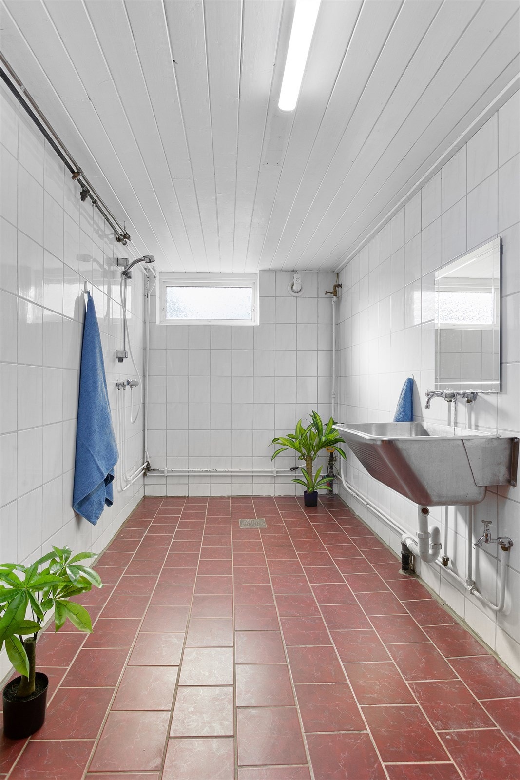 Bad/vaskerom i kjeller med vegghengt utslagsvask, vegghengt dusjarmatur og gulvstående toalett Galleribilde