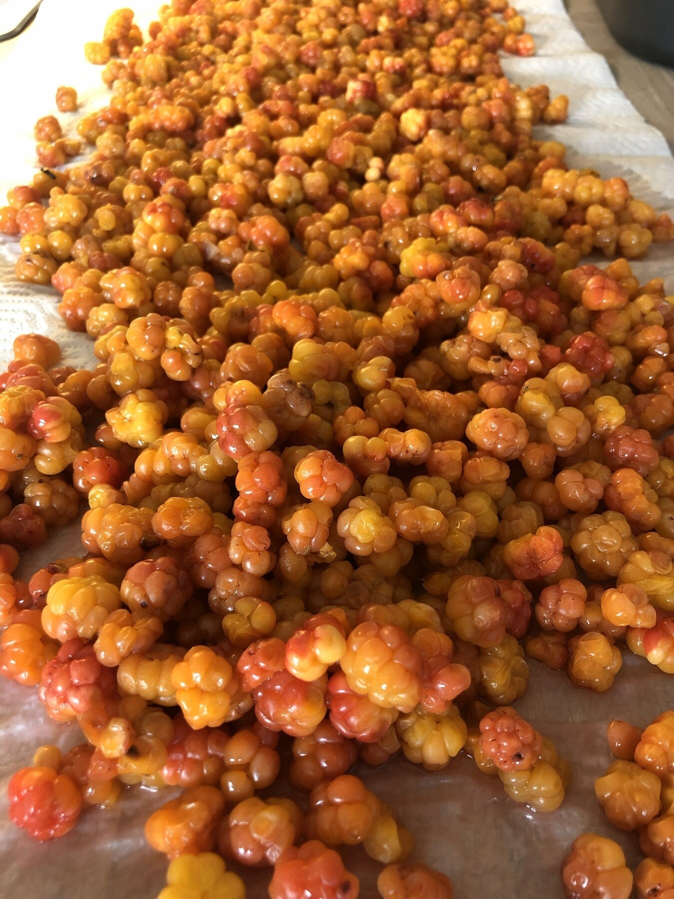 Selgers egne bilder. Galleribilde