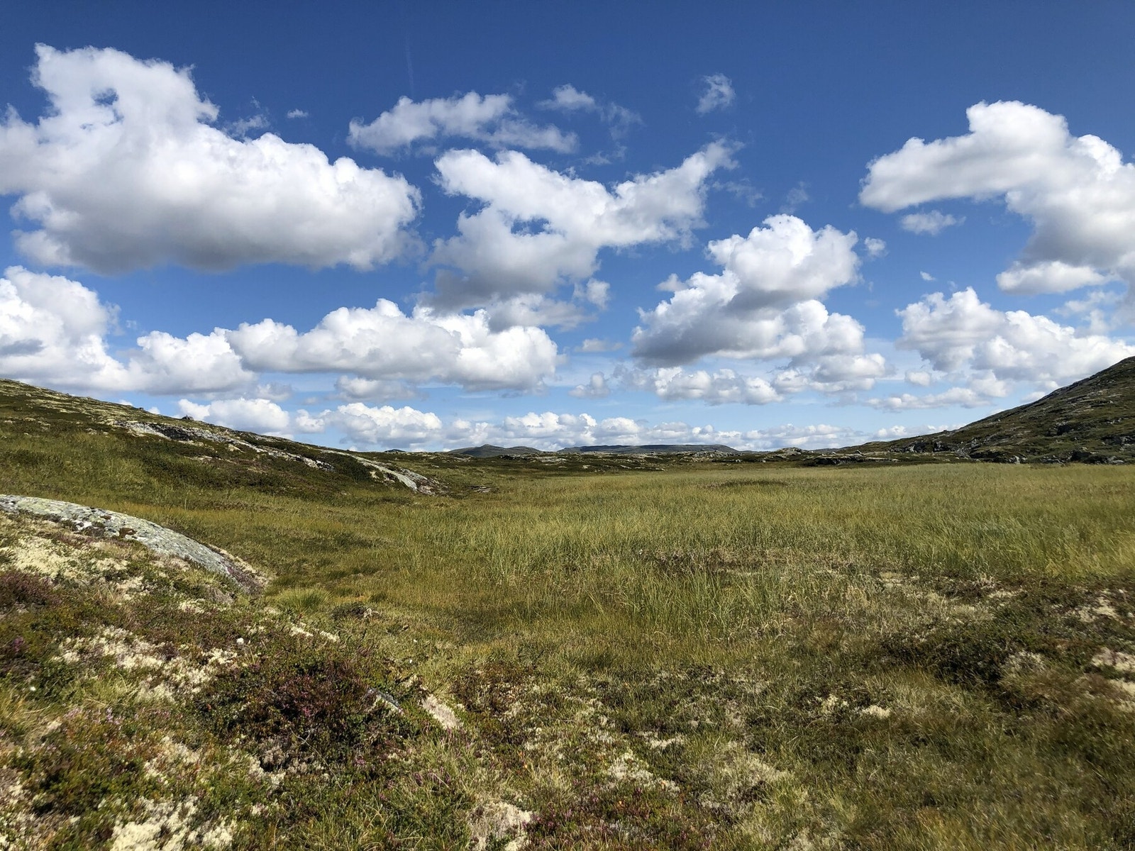 Selgers egne bilder Galleribilde